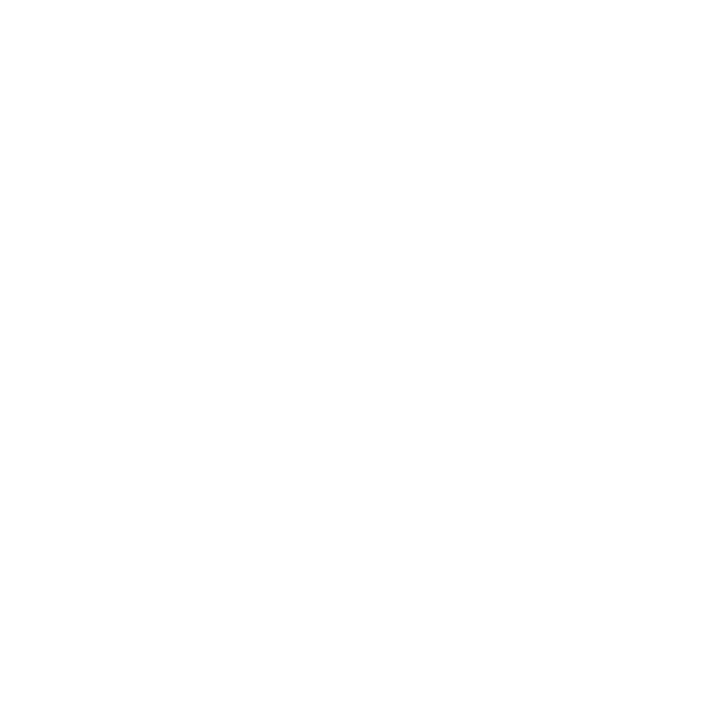 LSE Logo